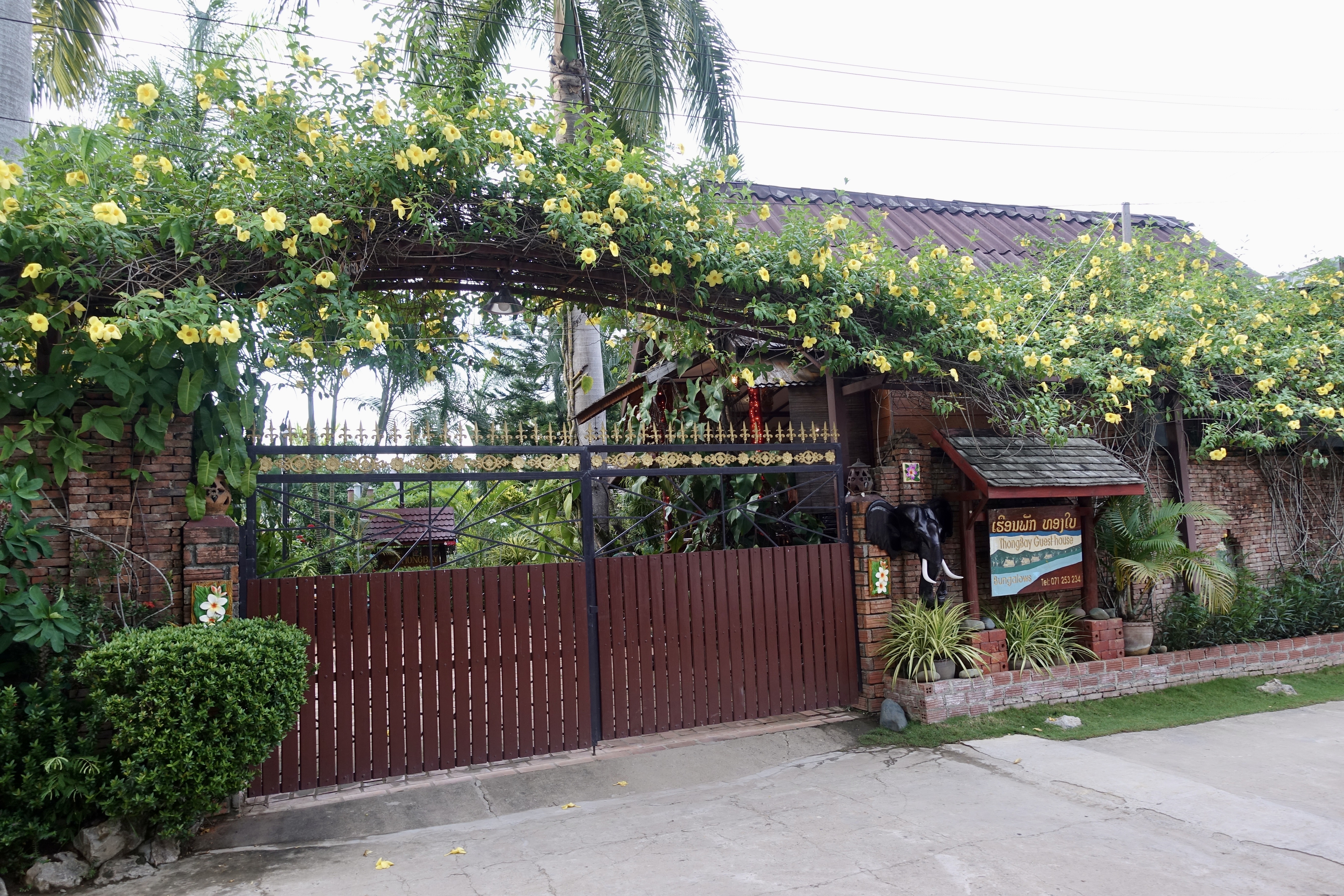 Thongbay Guesthouse
